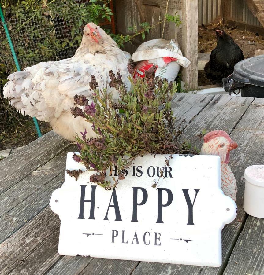 Country Bed & Breakfast 2*